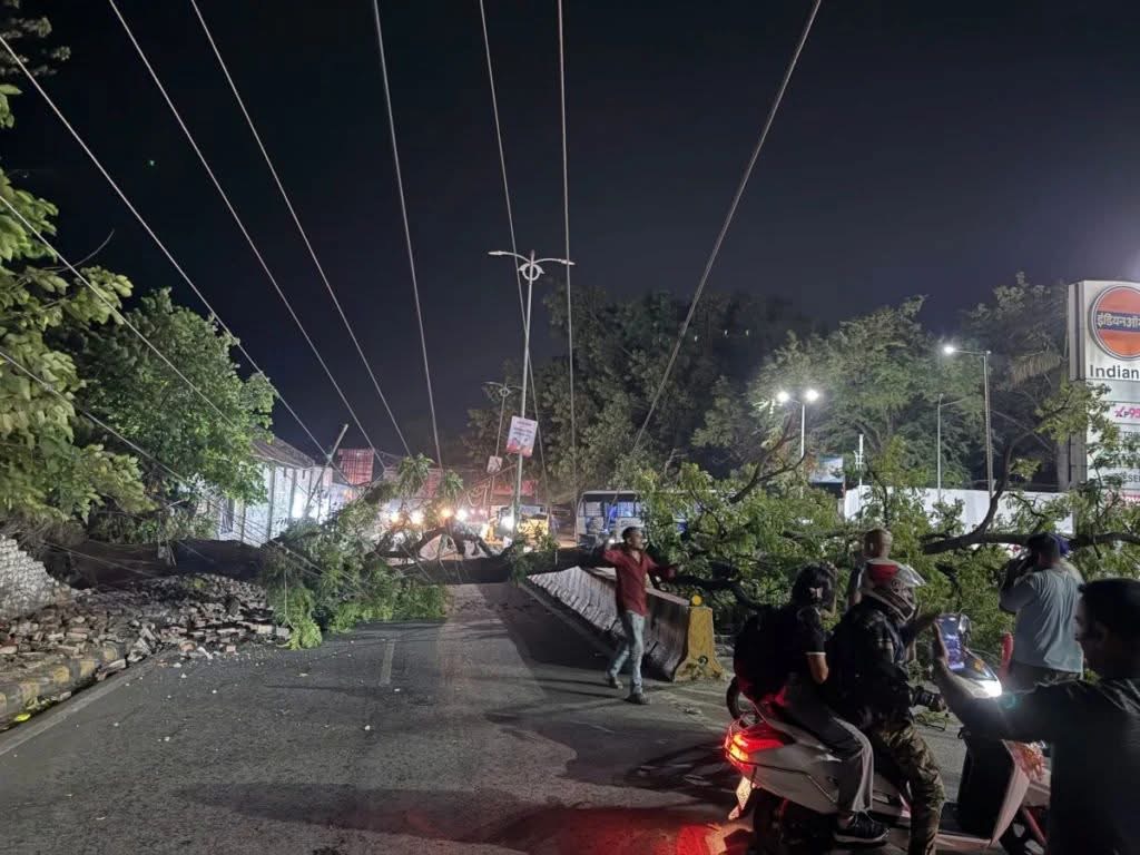 हल्द्वानी में आंधी का असर, काठगोदाम हाईवे पर गिरा पेड़, यातायात बाधित