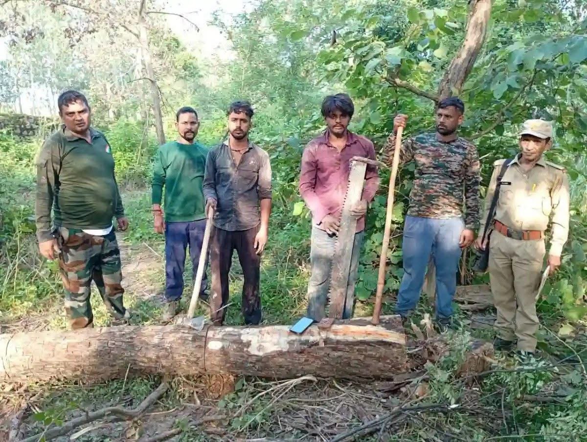 खैर के जंगल में तस्करों का खेल! AI कैमरों ने खोला राज, दो गिरफ्तार; तीन फरार